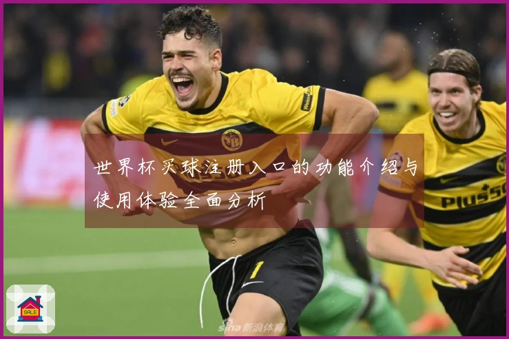 世界杯买球注册入口的功能介绍与使用体验全面分析