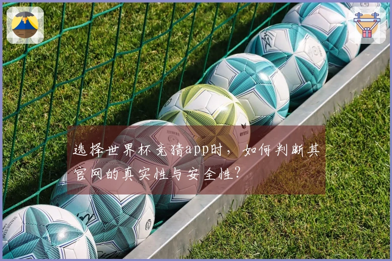 选择世界杯竞猜app时，如何判断其官网的真实性与安全性？