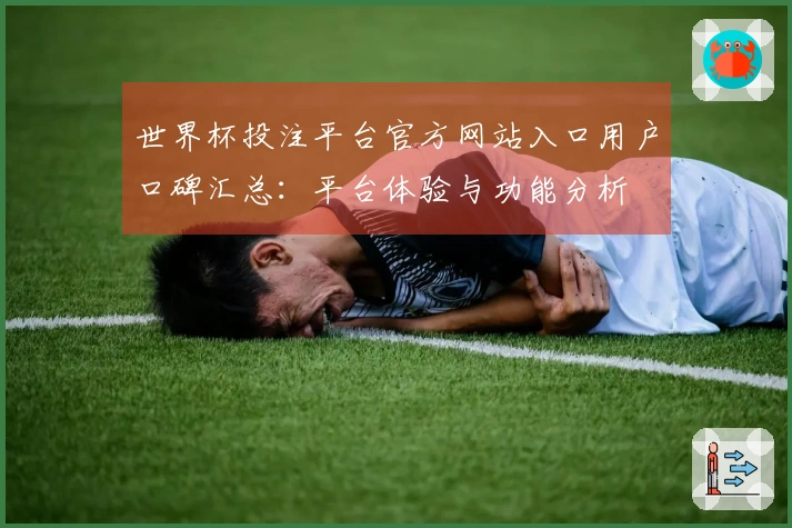 世界杯投注平台官方网站入口用户口碑汇总：平台体验与功能分析