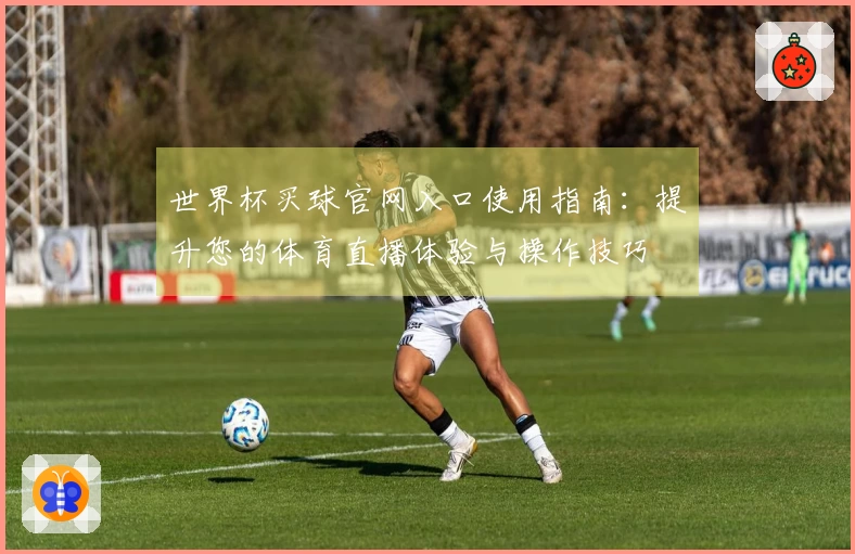 世界杯买球官网入口使用指南：提升您的体育直播体验与操作技巧