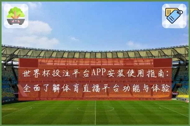 世界杯投注平台APP安装使用指南：全面了解体育直播平台功能与体验