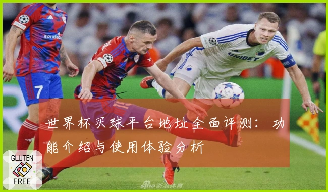世界杯买球平台地址全面评测：功能介绍与使用体验分析