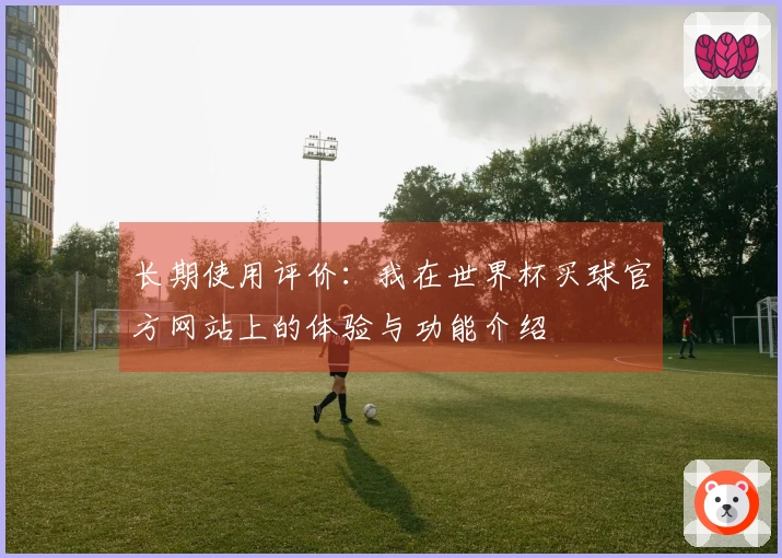 长期使用评价：我在世界杯买球官方网站上的体验与功能介绍