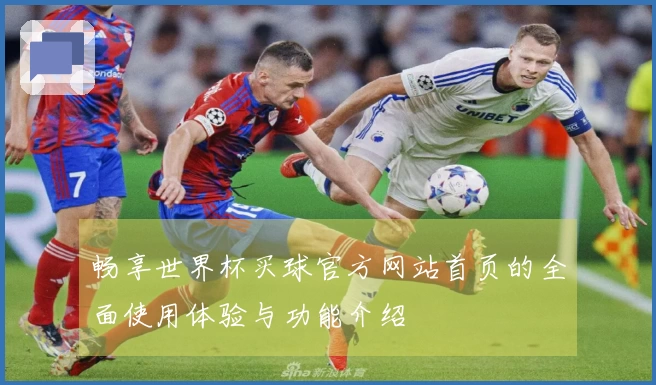 畅享世界杯买球官方网站首页的全面使用体验与功能介绍