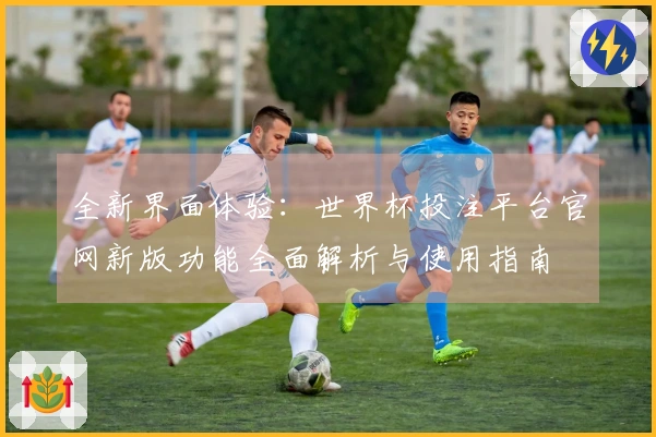 全新界面体验：世界杯投注平台官网新版功能全面解析与使用指南