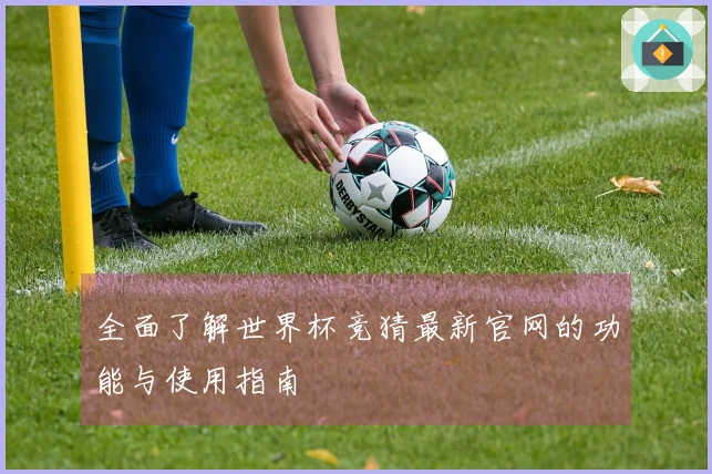 全面了解世界杯竞猜最新官网的功能与使用指南