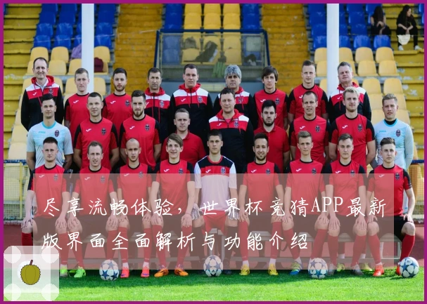 尽享流畅体验，世界杯竞猜APP最新版界面全面解析与功能介绍